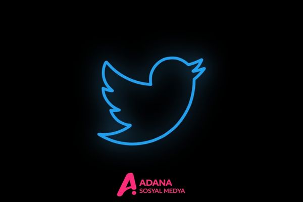 Web Tasarım ve Geliştirme